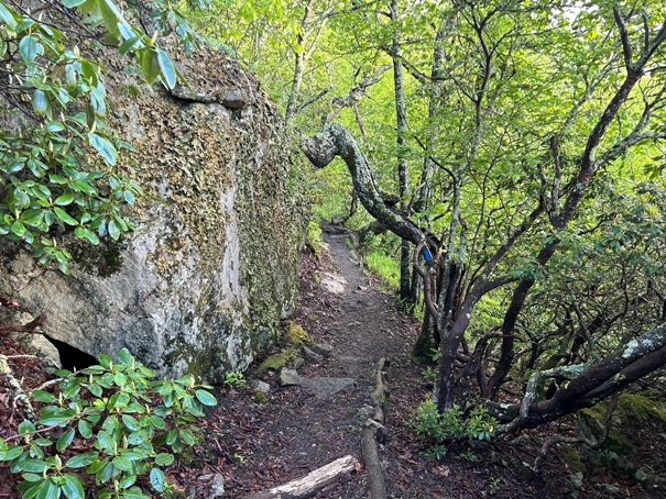 Spy Rock Trail