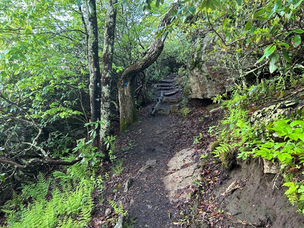 Spy Rock Trail