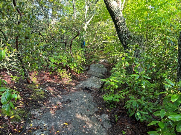 Spy Rock Trail