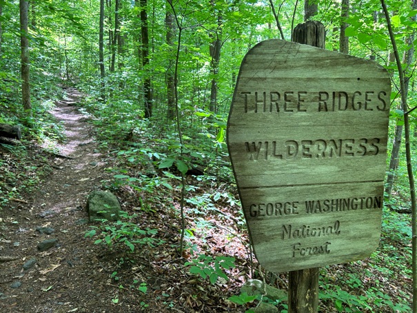 Three Ridges Wilderness