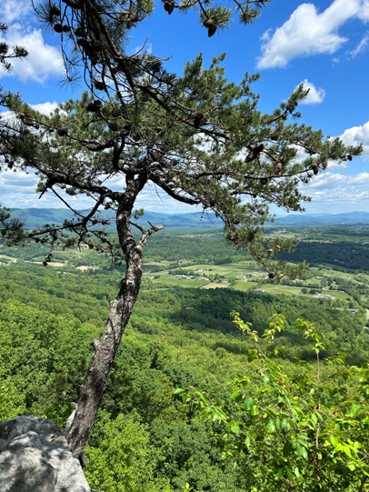 tinker cliffs