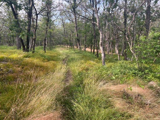 Appalachian Trail