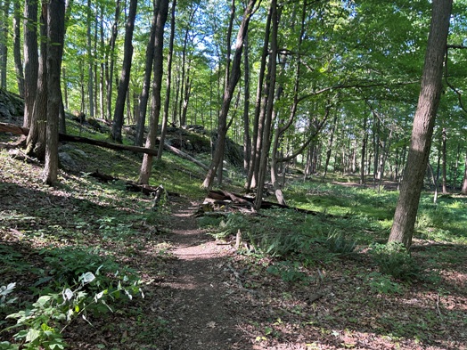 Appalachian Trail