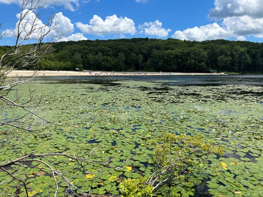 Canopus Lake