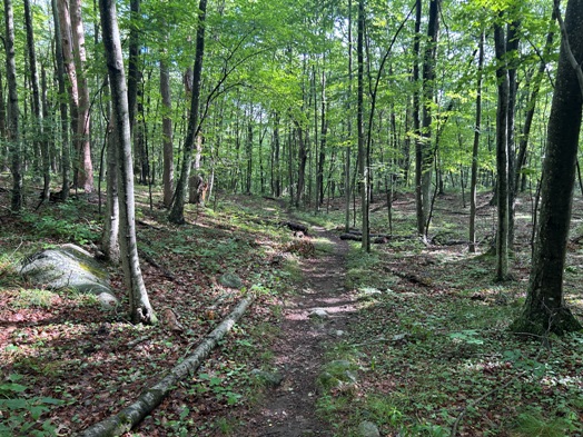 Appalachian Trail