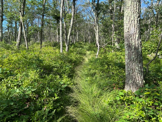 Fahnestock State Park