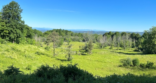 Appalachian Trail