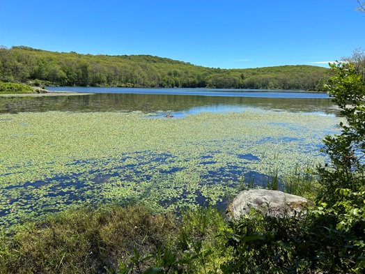 Nuclear Lake