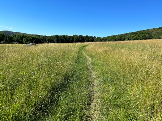 Appalachian Trail