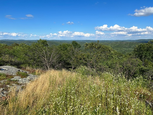 Shenandoah Mountain