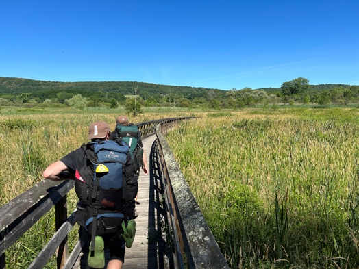 Swamp River Boardwalk