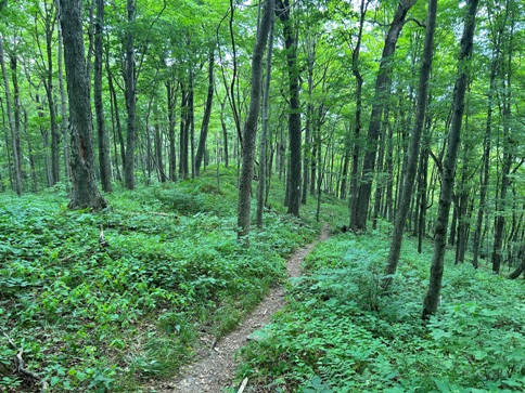 appalachian trail