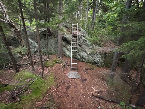 ladder 