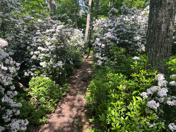 appalachian trail