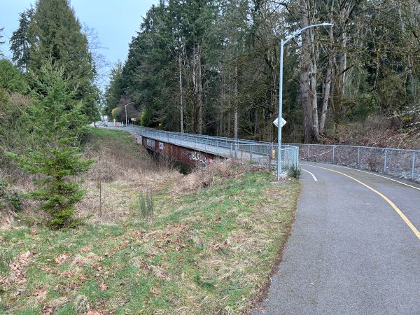 swan creek