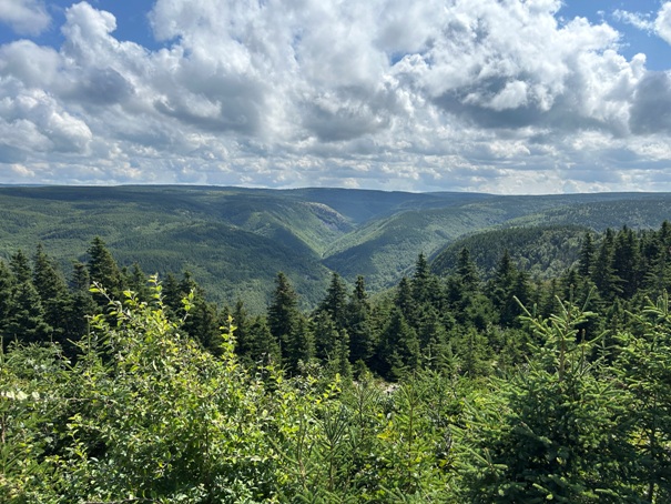 Cape Breton Highlands