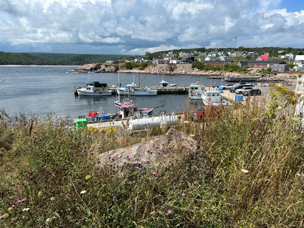 Neils Harbour