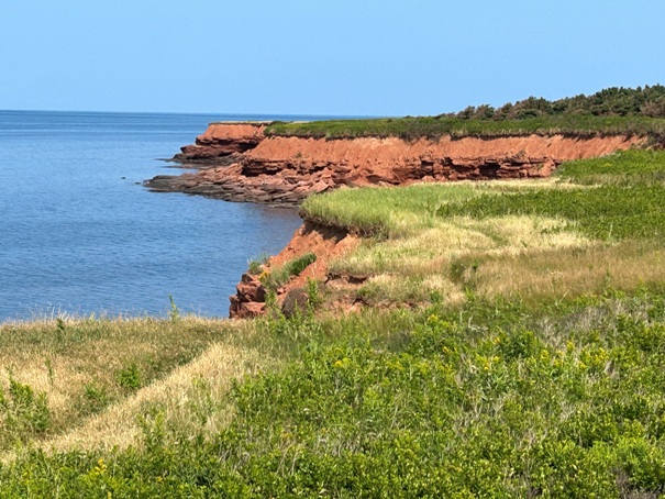 Cavendish Cliffs