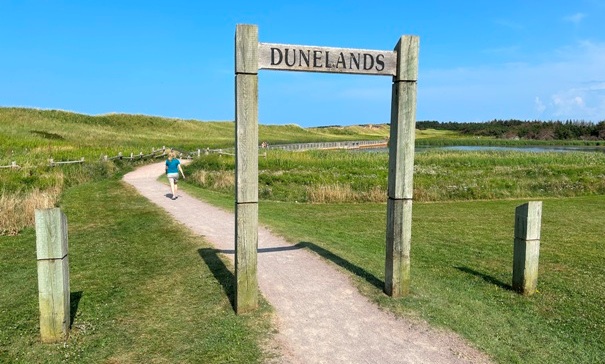 Cavendish Dunelands