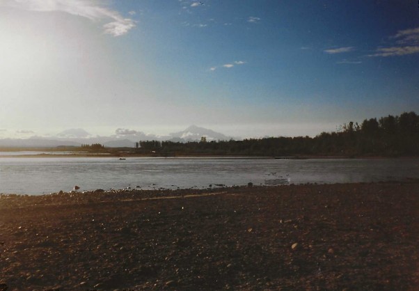 denali view