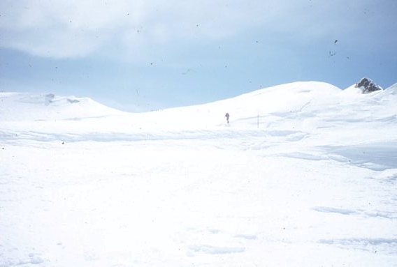 Denali Pass