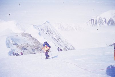 denali tour