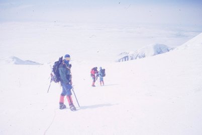 denali tour