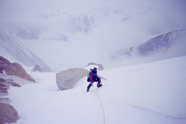 denali tour