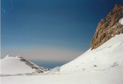 denali tour