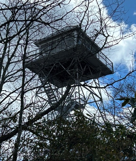 albert mountain lookout