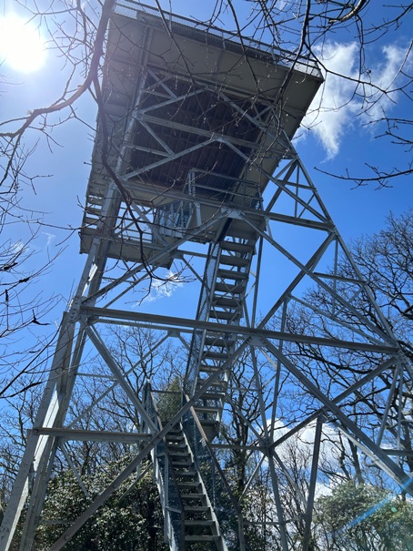 albert mountain lookout