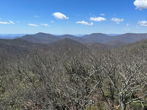 albert mountain lookout