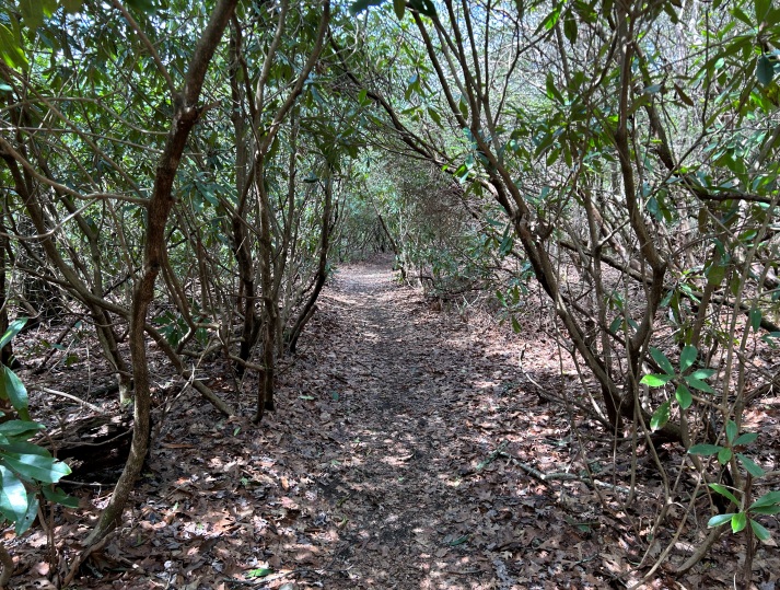 Appalachian Trail 