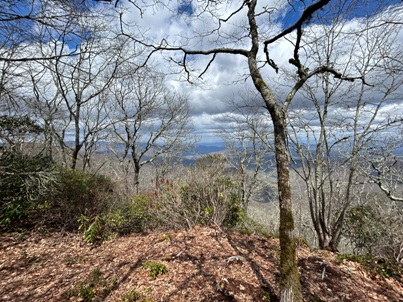 Pinnacle Mountain 