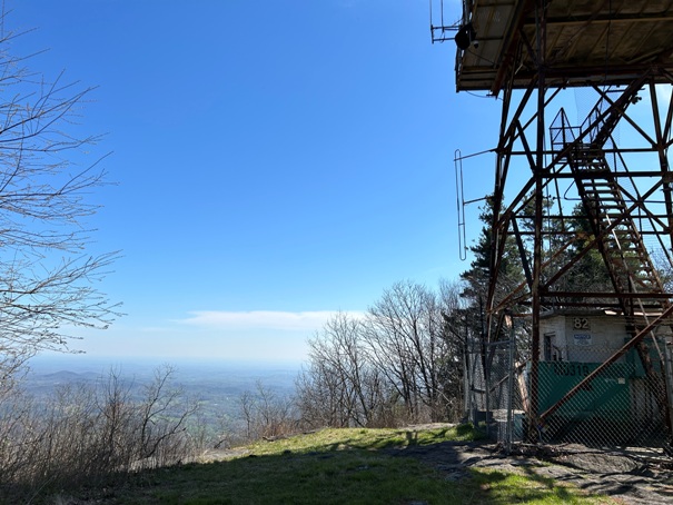 Black Mountain Lookout 