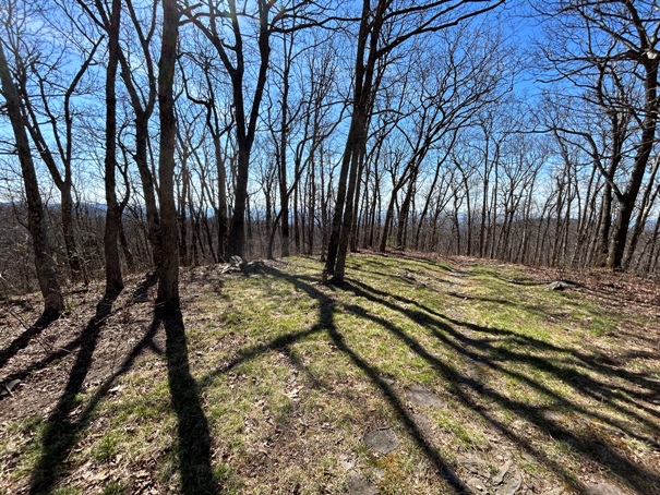 Hawk Mountain 