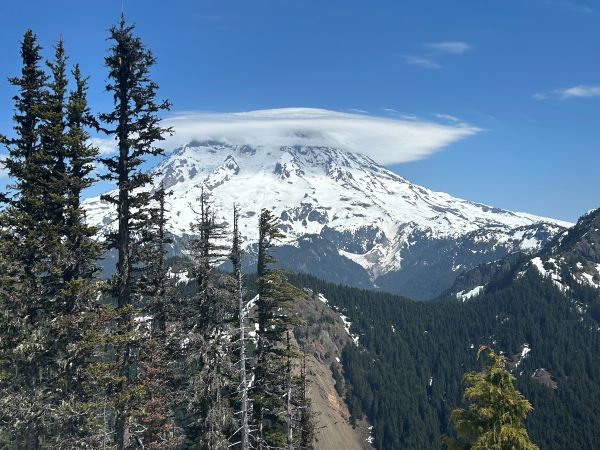 rainier