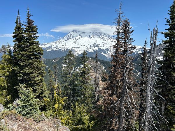 summit view