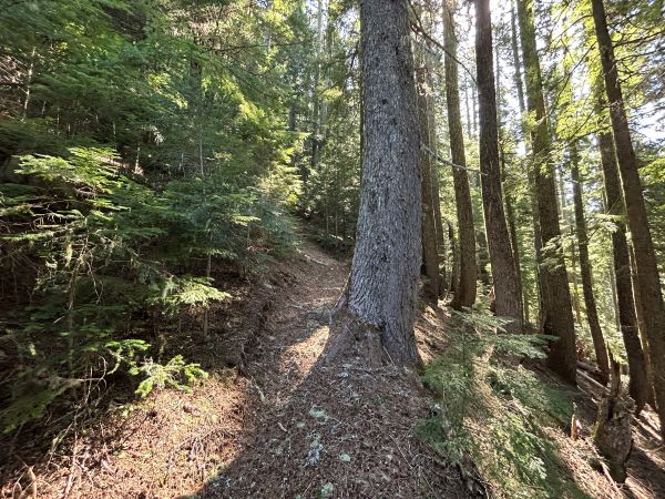 Lake Christine Trail