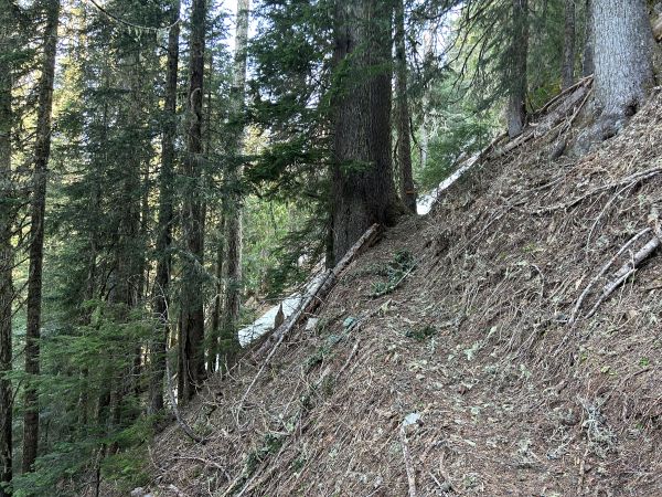 Lake Christine Trail