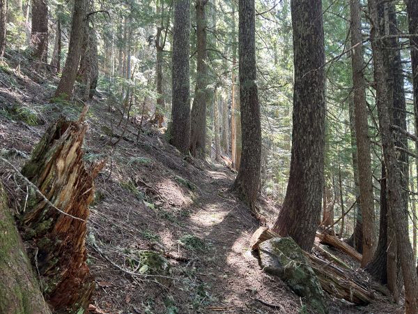 Lake Christine Trail