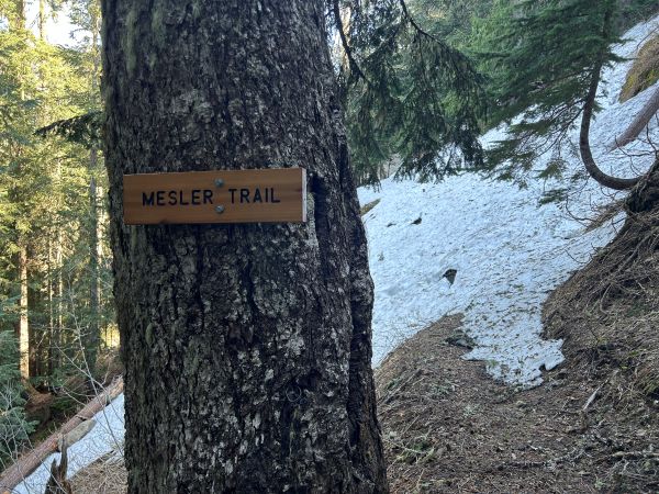 mesler trail