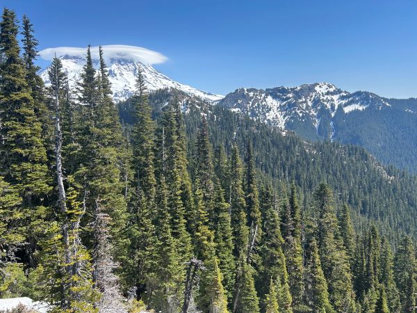 Rainier