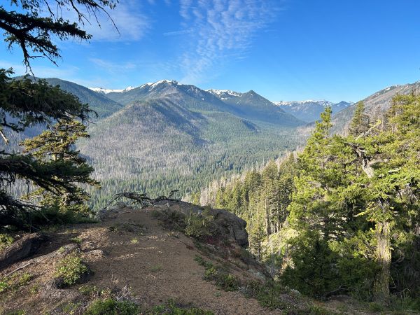 american ridge