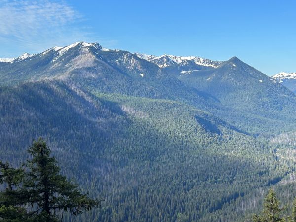 american ridge