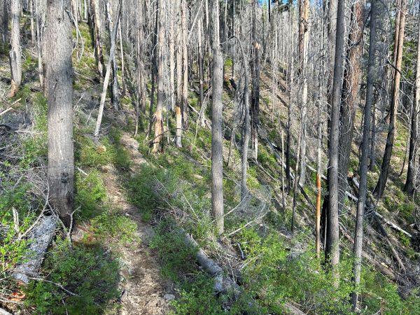 crow creek way trail