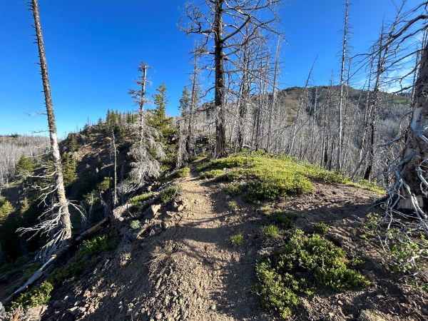 norse peak 