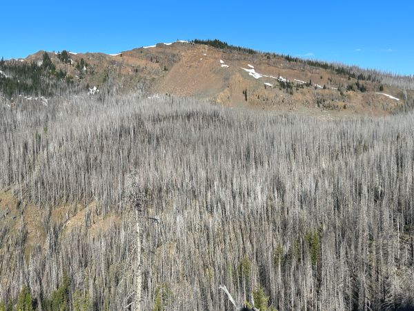 norse peak wilderness