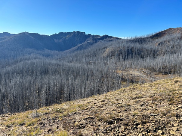 Corral Pass 