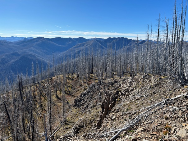 norse peak wilderness